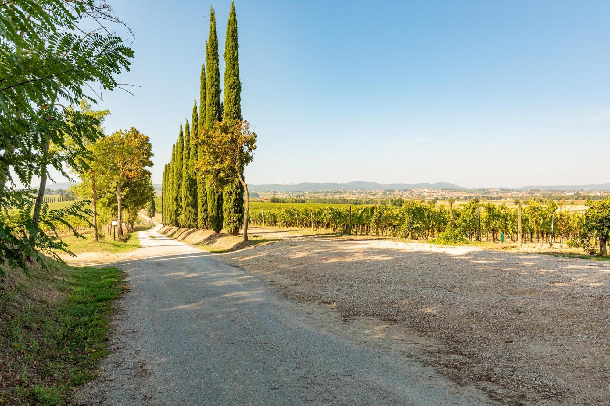 Vermentino Villa Montepulciano Exterior photo