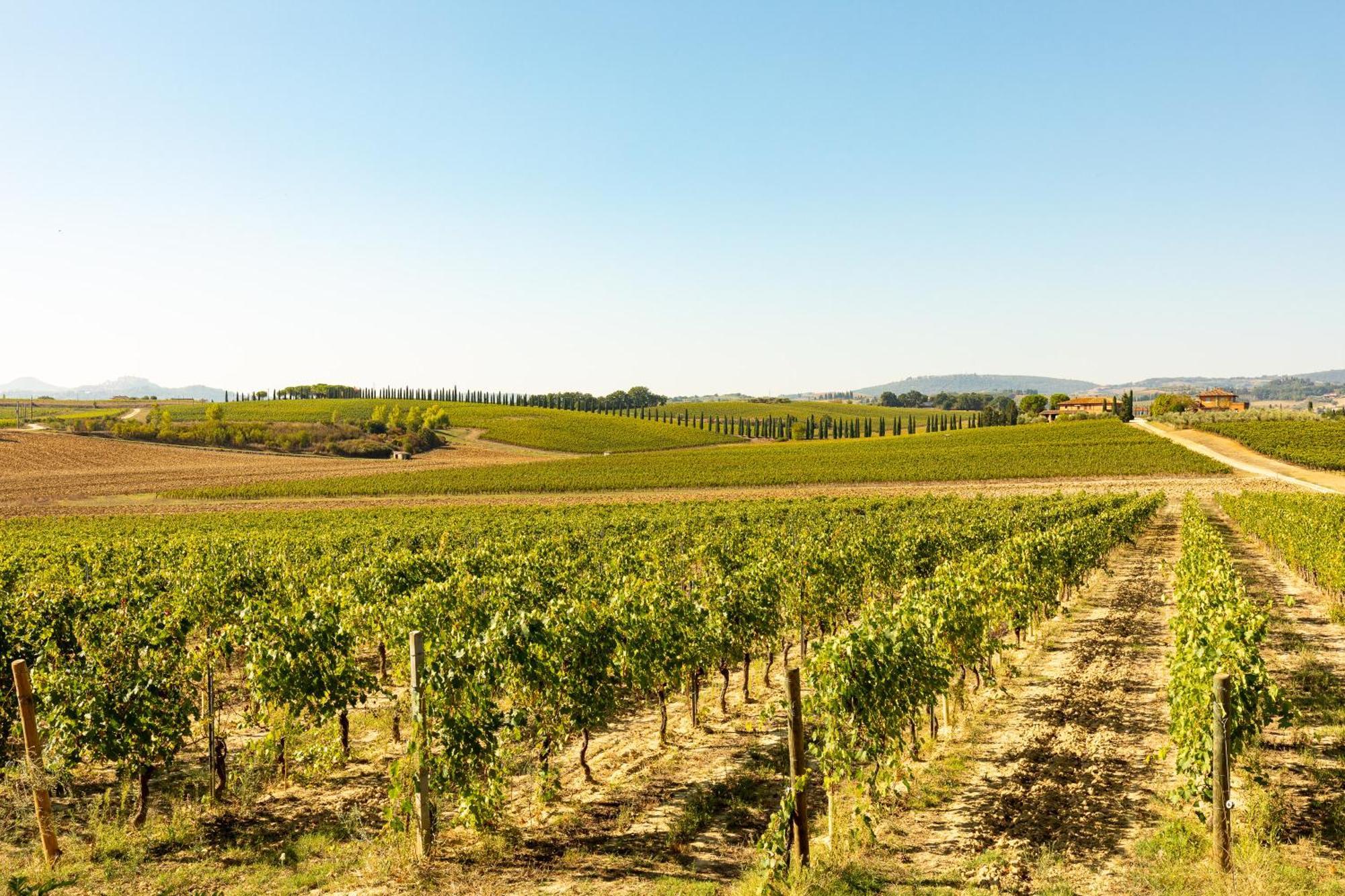 Vermentino Villa Montepulciano Exterior photo